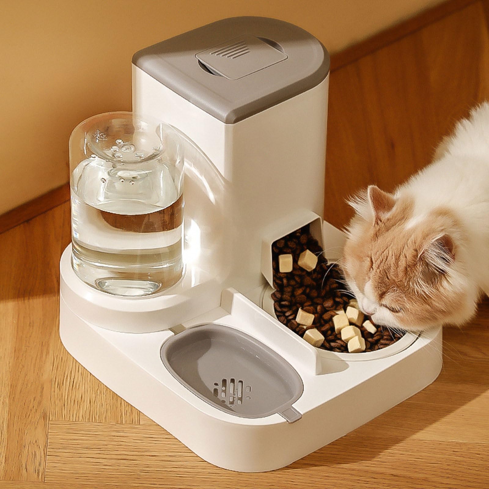 Mangiatoie Alimentatore automatico 2-in-1 domestici e stoccaggio di cibo per animali domestici più acqua rimovibile facile da pulire per cani gatti Articoli per animali
