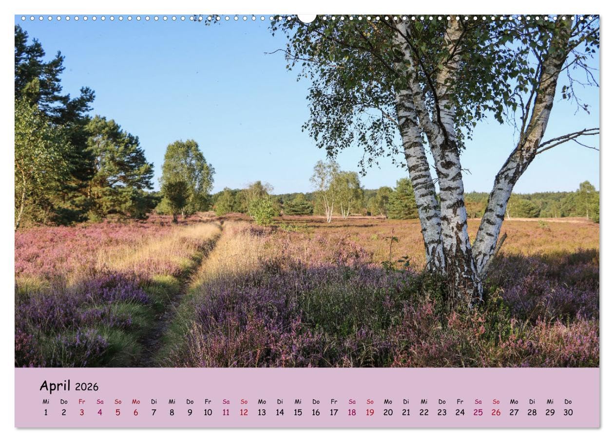 Lüneburger Heide Wege (hochwertiger Premium Wandkalender 2026 DIN A2 quer), Kunstdruck in Hochglanz: Einzigartige Heidelandschaft erleben (CALVENDO Natur)
