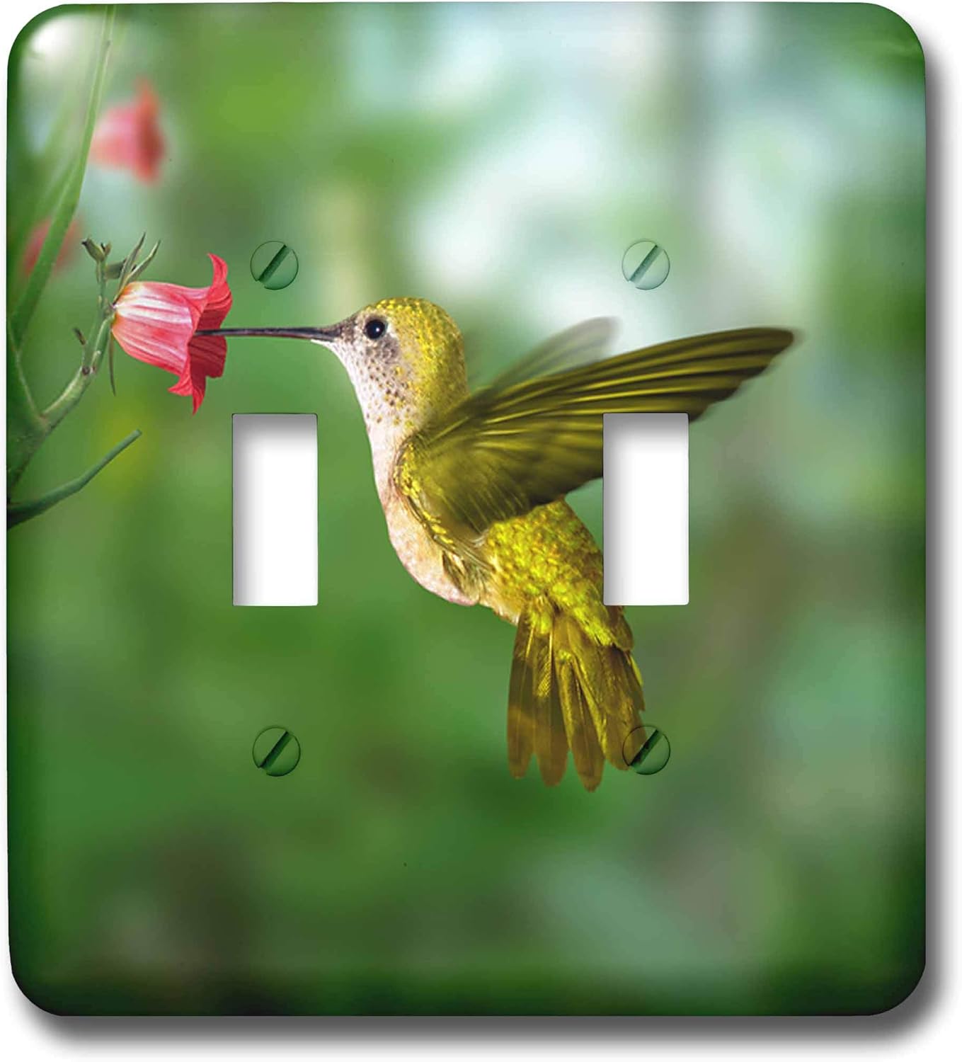 3dRose lsp_4143_2  Hummingbird Double Toggle Switch