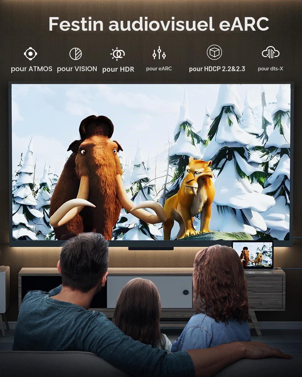 Câble HDMI 2.1 8K pour TV et Projecteur 15M 1 Pièce Gris