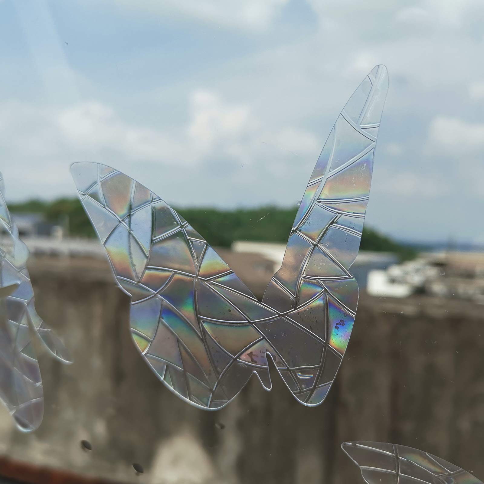 Buy Butterfly Static Window Clings Anti Collision Window Decals for