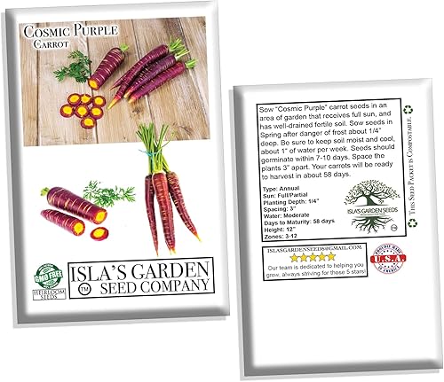 Miniatura 2 de Semillas de zanahoria púrpura cósmica para plantar, más de 500 semillas tradicionales por paquete, semillas de jardín de Isla (semillas de jardín de