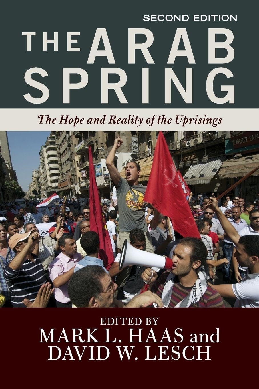Buy The Arab Spring: The Hope and Reality of the Uprisings Book