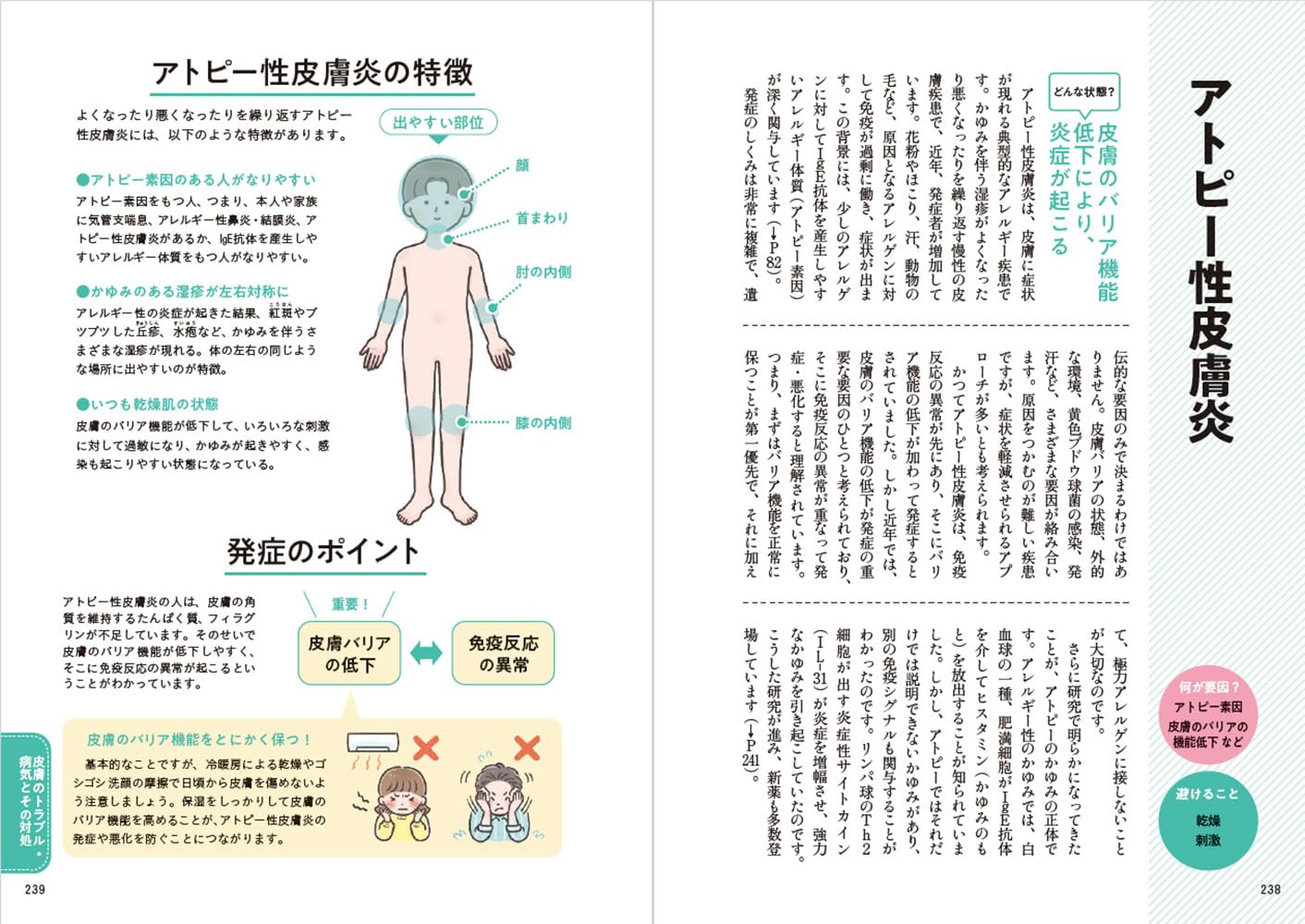 Amazon.co.jp: 椛島 健治: 本、バイオグラフィー、最新アップデート