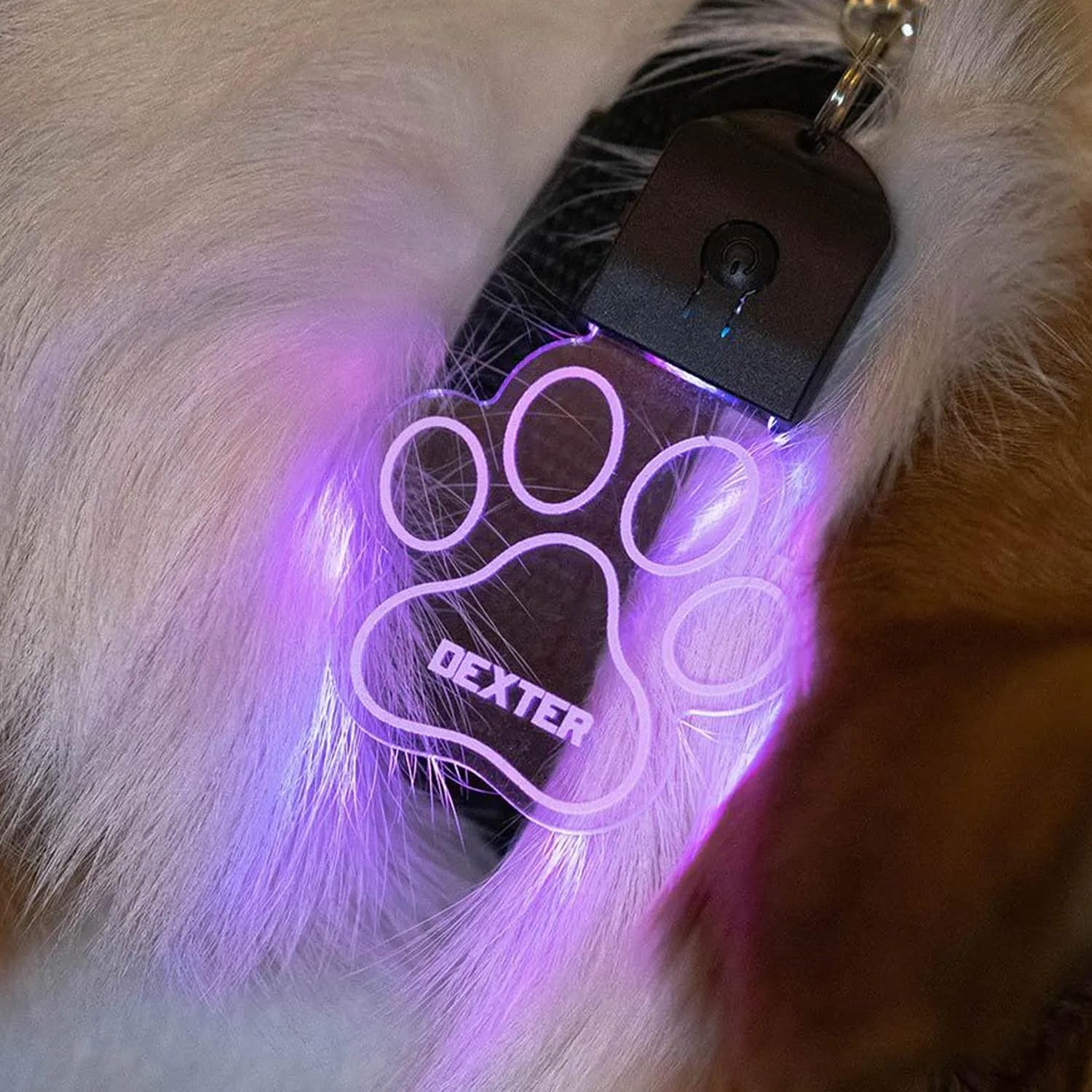 PANPANZZ Personalized Acrylic Dog Tag with LED Light, Bone and Paw Design Tags for Pet - Custom Pet Name Tag with 7 Colors & 3 Flashing Modes for Night Walking