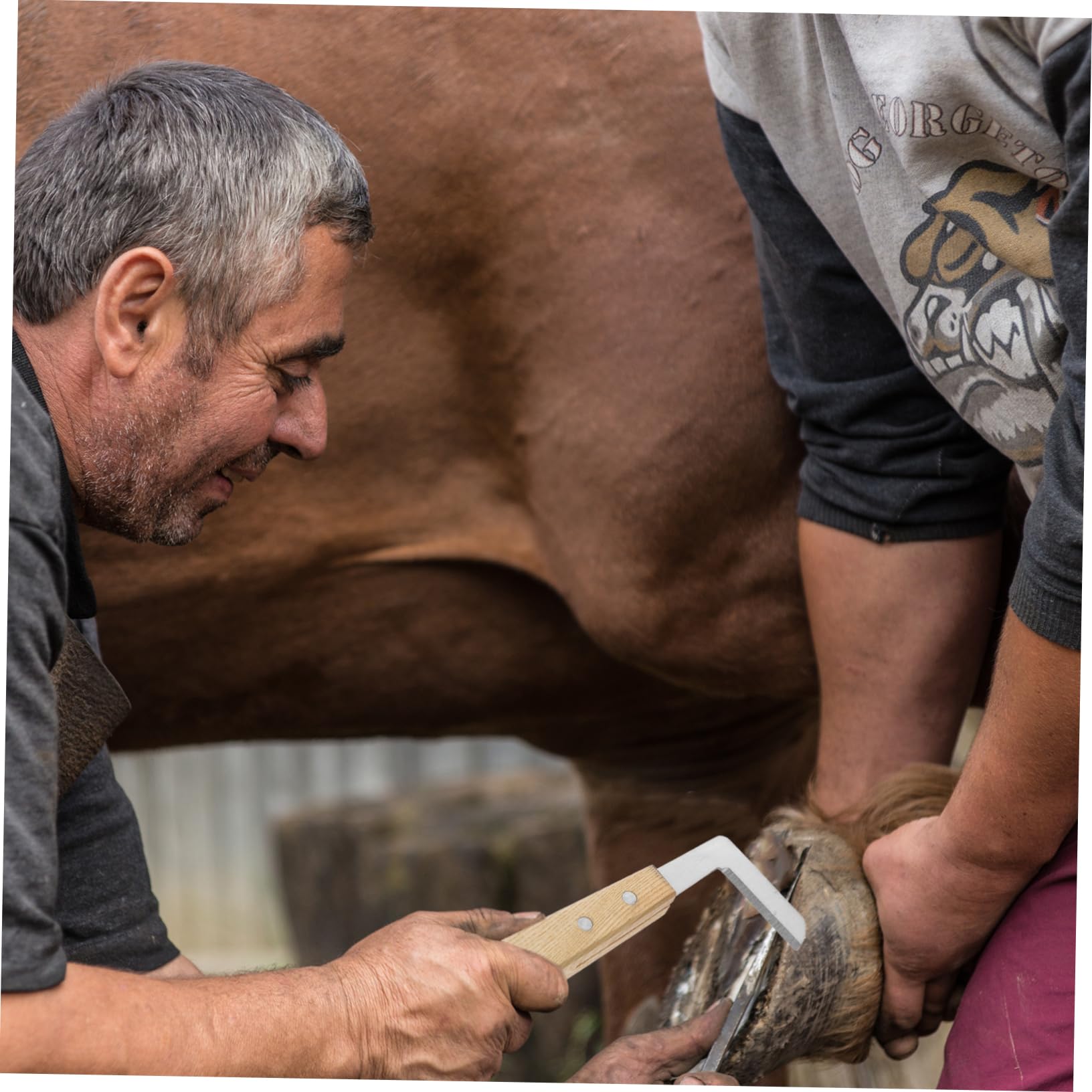 FRCOLOR 3pcs Sheep Hoof Trimmer Cattle Hoof Trimmer Horseshoe File Horse Grooming