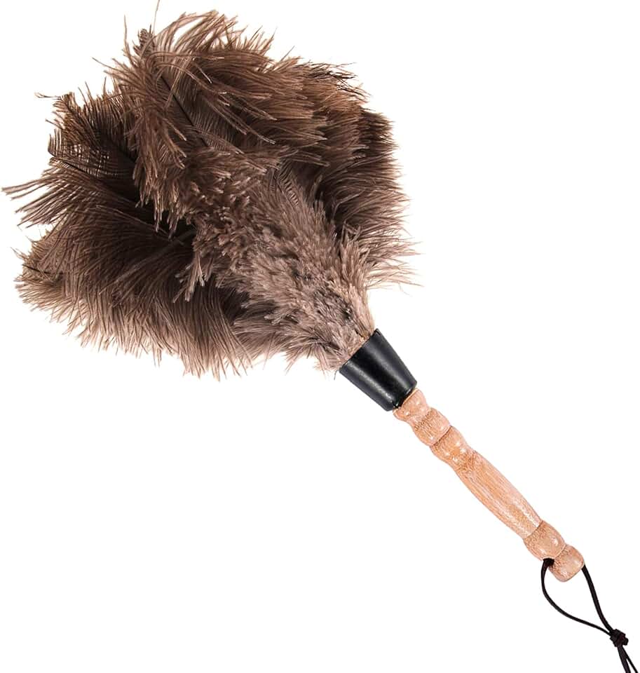 ZEELYDE Struzzo Spolverino Piumino Struzzo Spolverino Piuma Struzzo Spolverino Morbido Piume Spolverino Mobili alle Pale Ventilatore di Vari Lavori Foto Colore