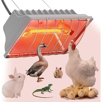 Rotlichtlampe W rmelampe f r K ken 250W W rmelampe H hner mit Sparschalter und 1.8m Stromkabel Automatische thermostatisch Infrarotlampe f r H hner Enten Ferkel Welpen Vieh