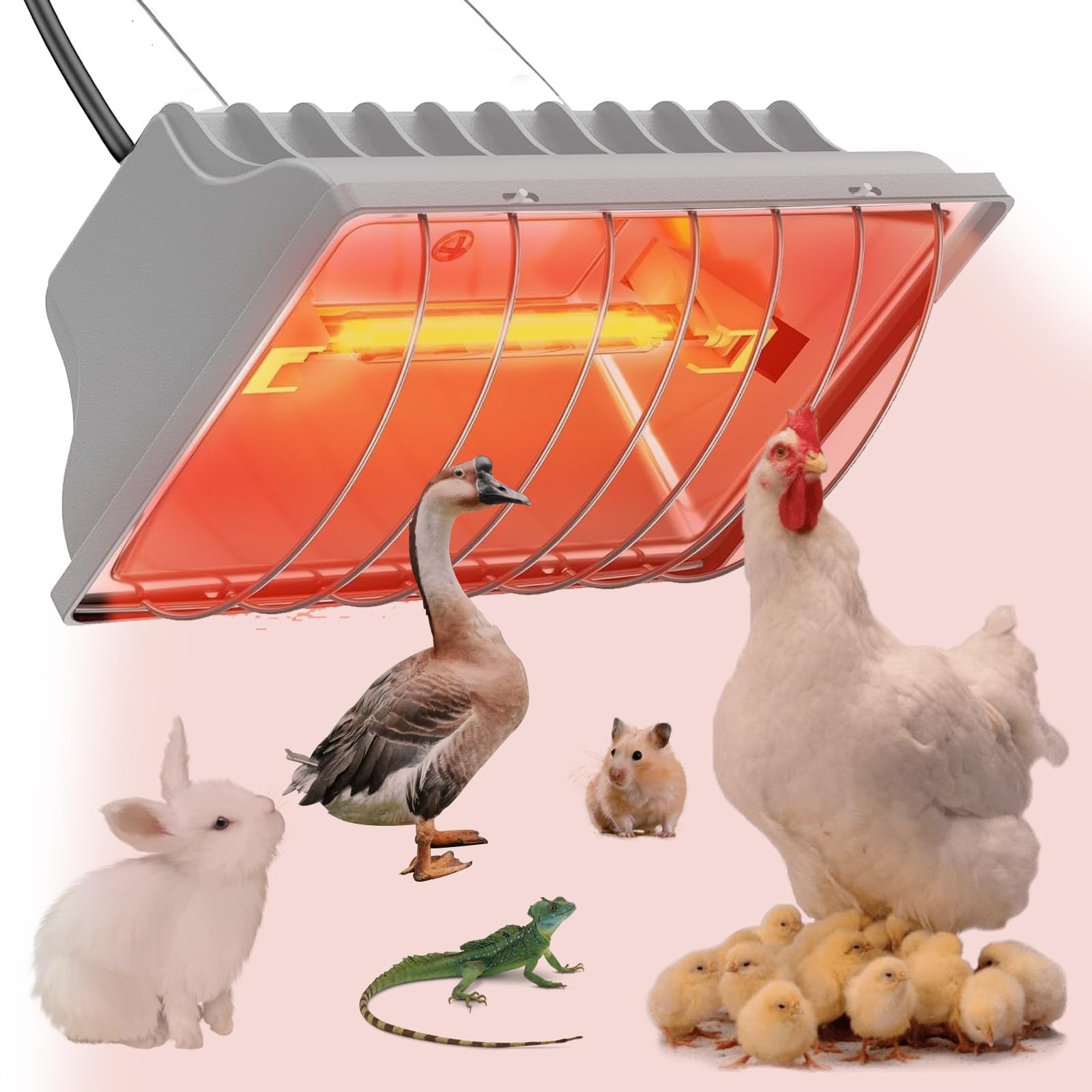 Lampe chauffante pour poussins, 250 W, avec interrupteur économique et câble d'alimentation de 1,8 m, lampe infrarouge thermostatique automatique pour poules, canards, porcelets, chiots, bétail