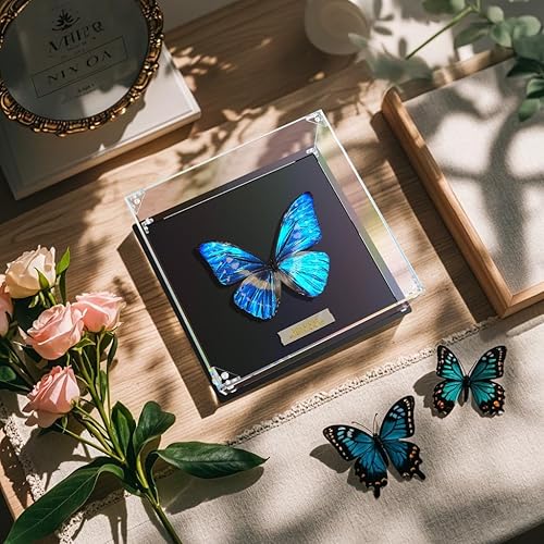 Miniatura 4 de Vitrina de acrílico transparente autoensamblable para coleccionables, caja de exhibición de acrílico, estuche de vidrio alternativo para figuras de