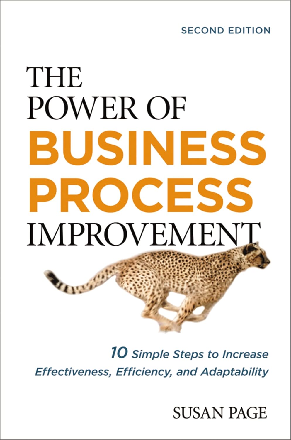 Buy The Power of Business Process Improvement: 10 Simple Steps to ...