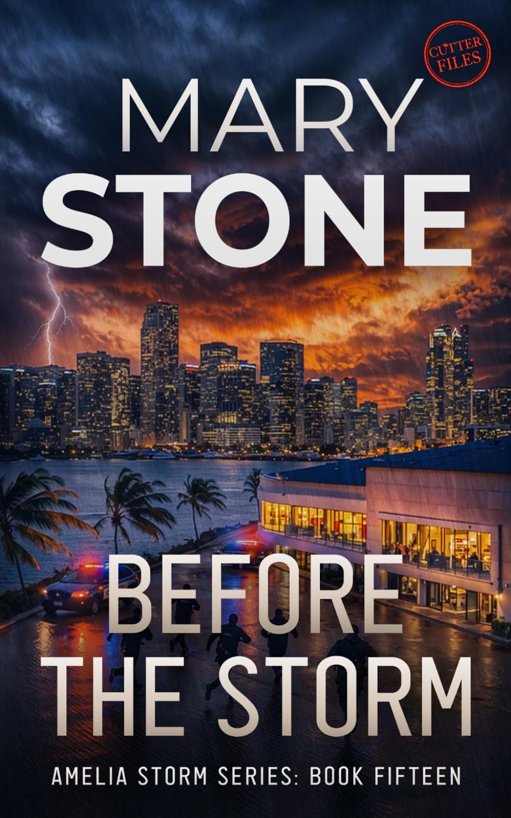 Before the Storm: Amelia Storm Cutter Files (Amelia Storm FBI Mystery Series)