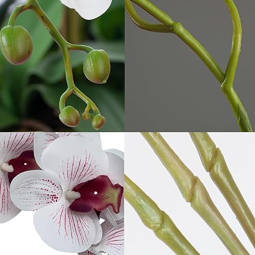 Miniatura 14 de FagusHome Phalaenopsis - Flores artificiales de 32 pulgadas, 6 piezas de orquídeas artificiales con tallo para decoración del hogar (rosa)