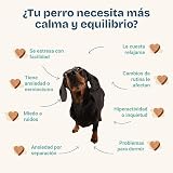 Ver la foto 3