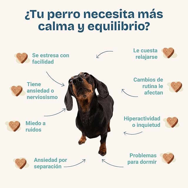 Foto 3 de 4 de KUNKAY Calmkun - Calmante para Perros con Ansiedad Formato 60 Chews