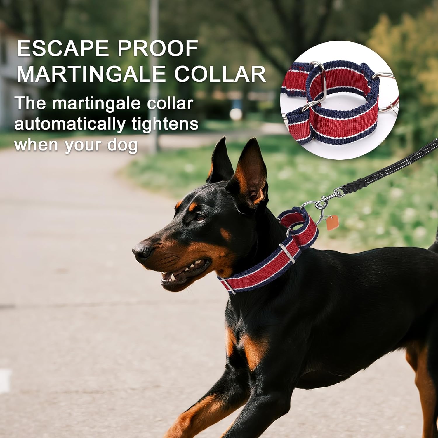 Martingale Collar 1.5 Inch Wide 1600D Extra Strong Anti Escape Nylon Dog Collar, No Pull Heavy Duty Pet Collars with 3-Color Stripe for Medium to Large Dogs (L, Orange & Gray)