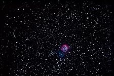 Review Image by Joohyung Park