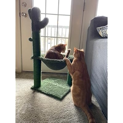 colonel cat scratching post