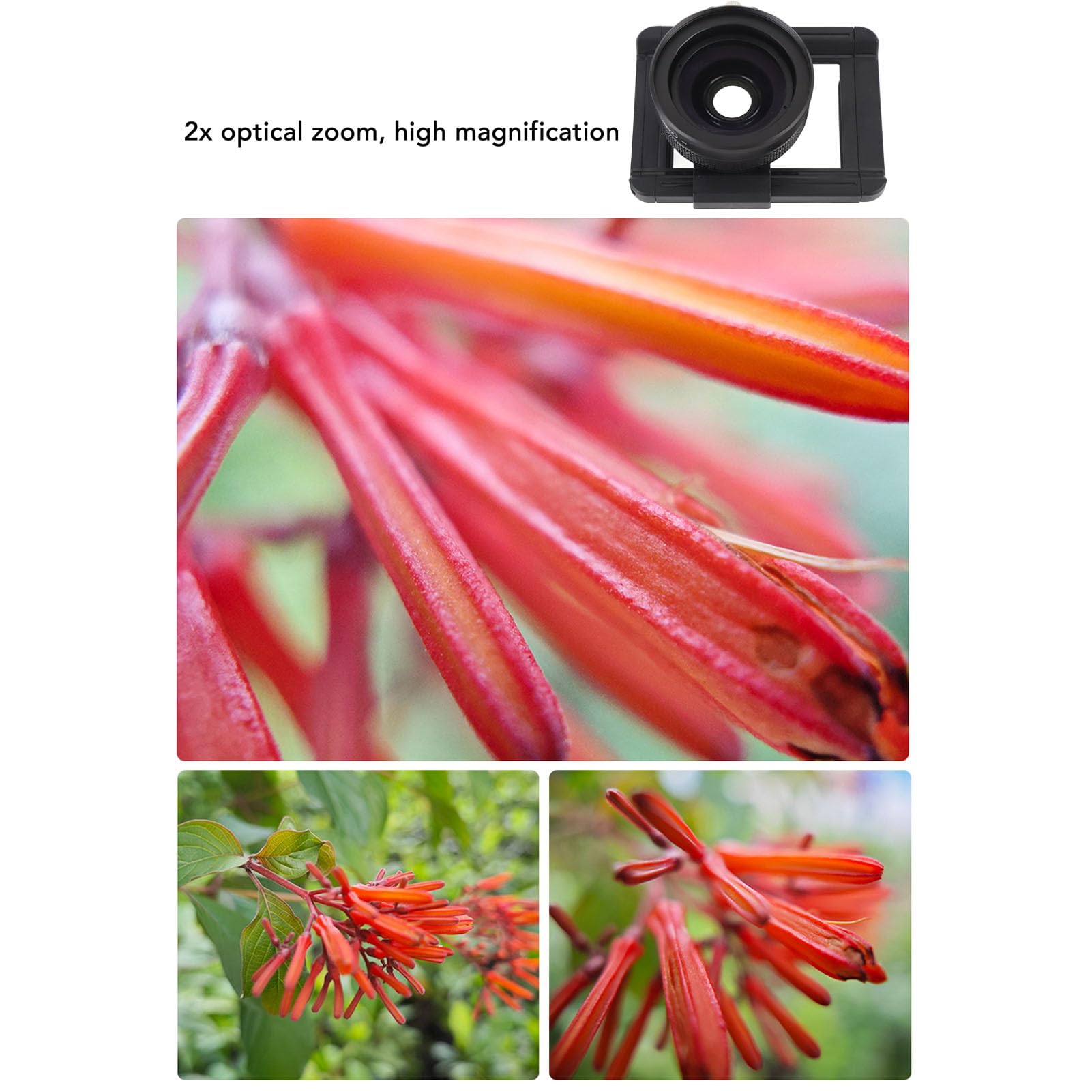 LENTRE CAMERA PELLE, LENS Macro 20X con Clip per Lenti Universali, Obiettivo Macro di Fotografia HD Adatto per IOS Android