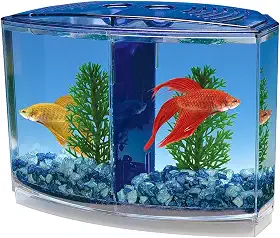 Penn-Plax Kit Penn Plax Twin Beta Bow-Front Para Aquarium Blue Green Tank Tem 19 Cm Na Frente 15 Cm Na Parte De Trás