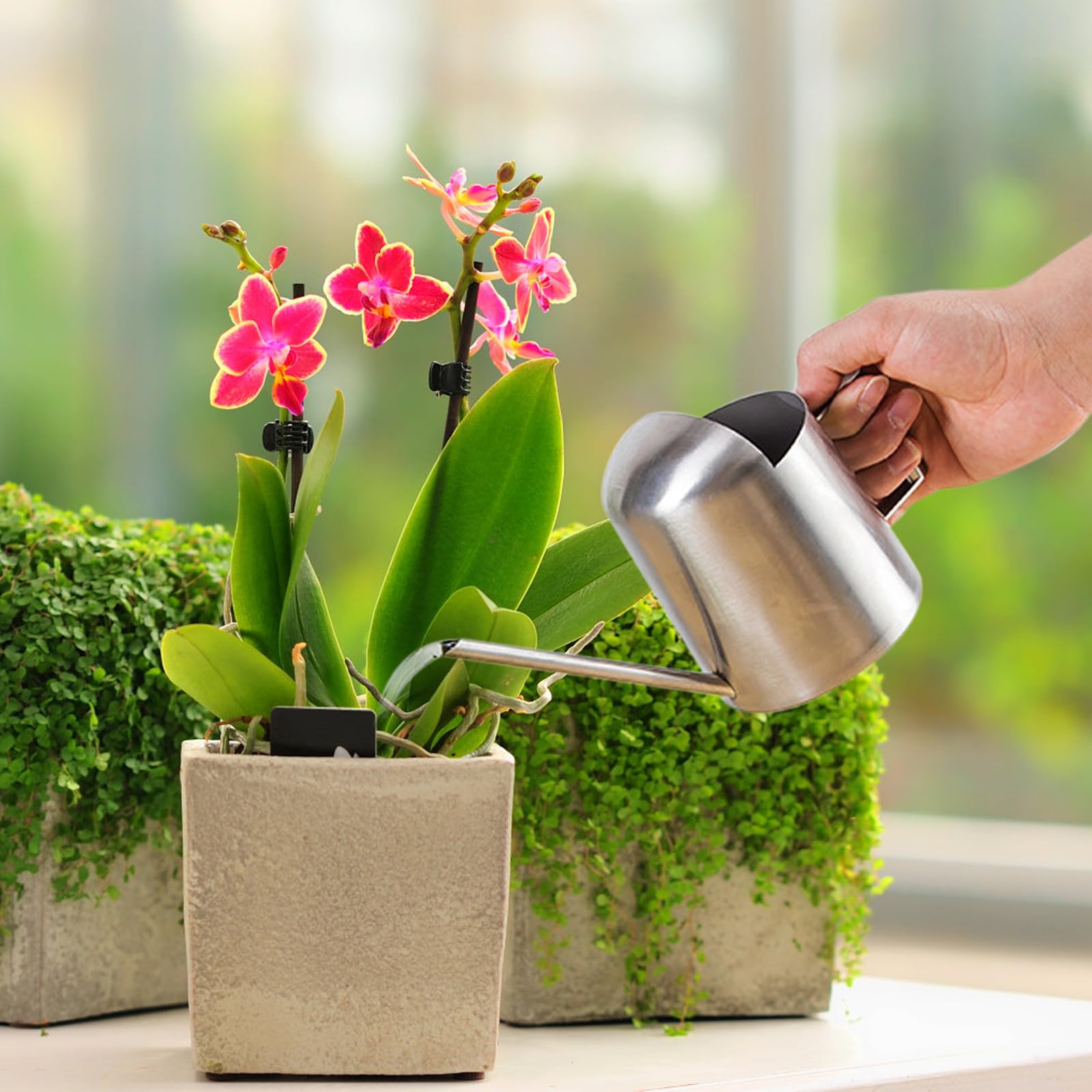 Gieter kopen? | o.a. rvs, zinken & plastic gieters