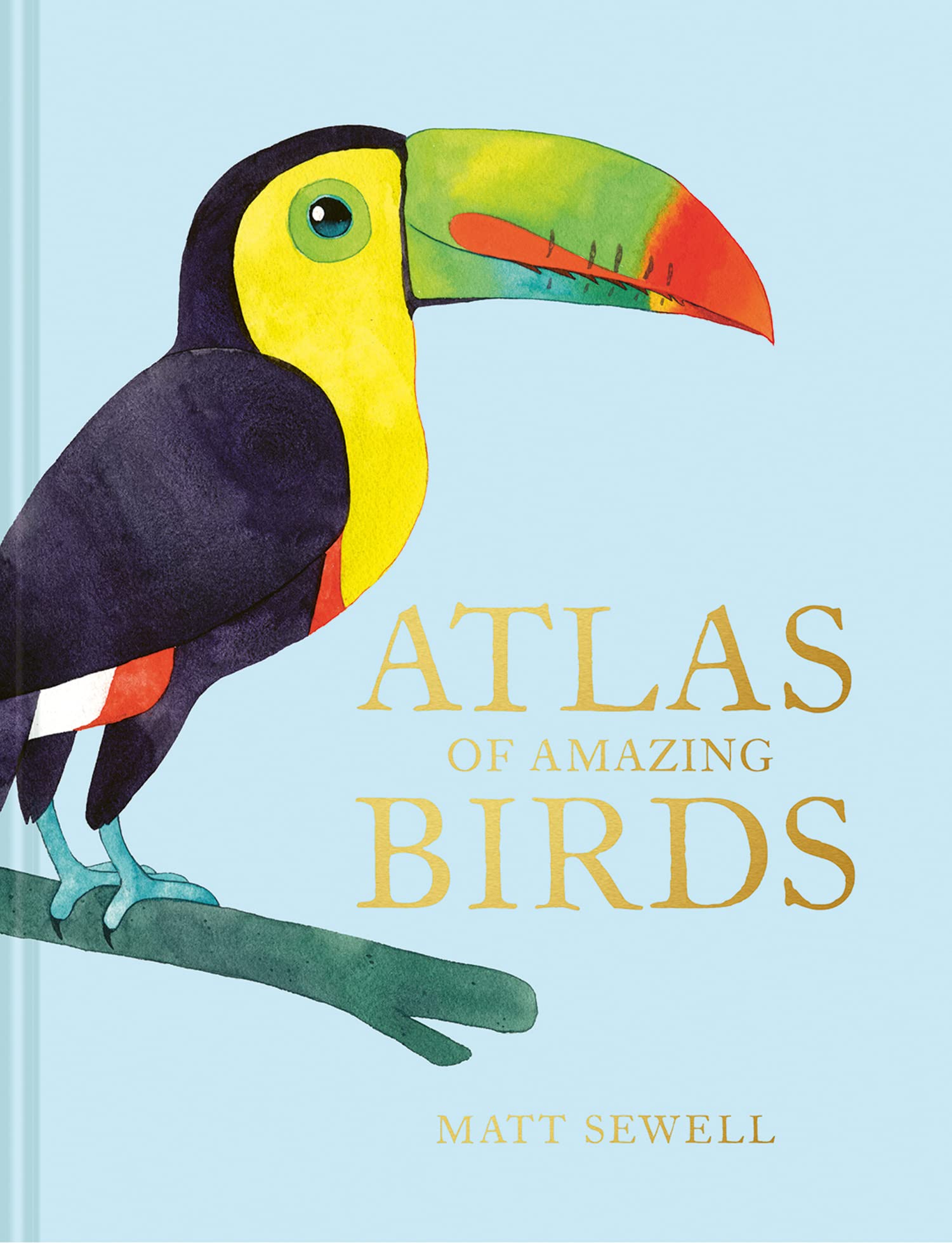 Atlas Of Amazing Birds Hardcover – 5 September 2019
