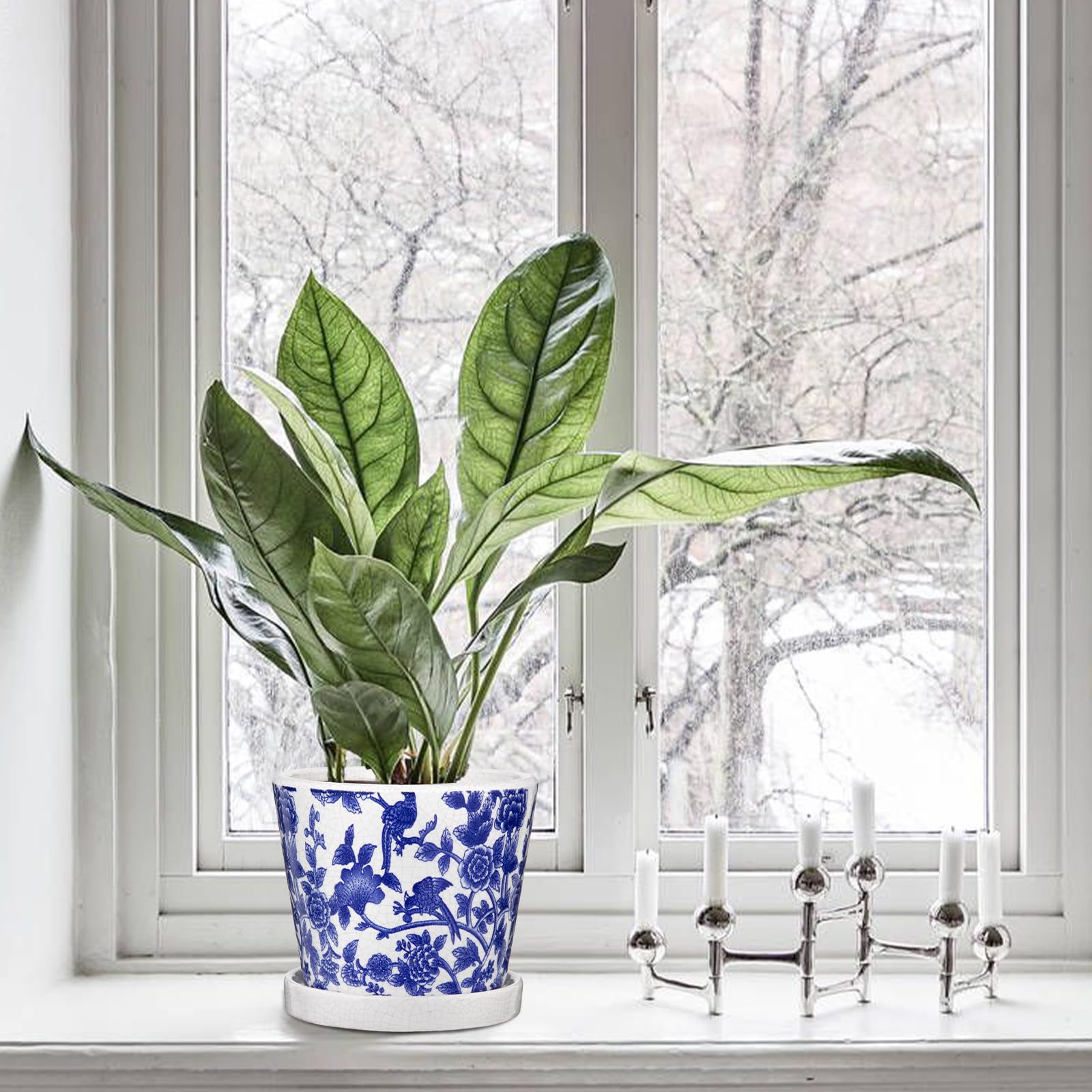 Oairse 2 vasi da fiori in ceramica, rotondi, con fori di drenaggio, sottovasi, piccoli vasi per piante grasse e cactus, interni e esterni, giardino, casa, davanzale