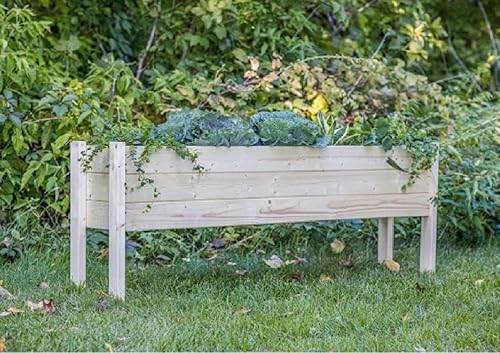 Miniatura 2 de Zylina Cama de jardín elevada de madera, macetas largas de 60 x 12 x 22 pulgadas, estas camas de jardín son para exteriores con patas, cultivan