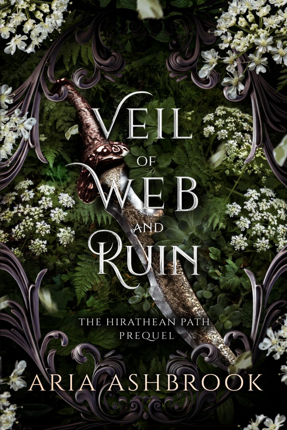 Veil of Web and Ruin: A Dark Enemies To Lovers Fantasy Romance Prequel Story