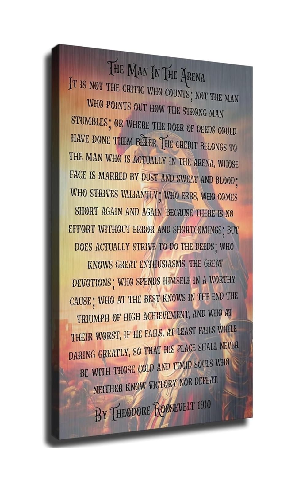 MDBJTCYZN Man In The Arena Quote Motivational Inspirational Saying Wall-Art Decor for Living Room Bedroom Office Home Decoration Aesthetic Print(Unframed,08X12inch(20X30cm))