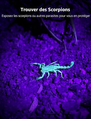 Lighting EVER Lepro Lampe UV, Lampe Torche UV 395nm LED Lumière Noire Ultraviolet, 3 Piles AAA Fournies pour Traceurs Fluorescents Chien Chat Tapis Détecteur Urine Scorpion Vérifie L'argent - 3