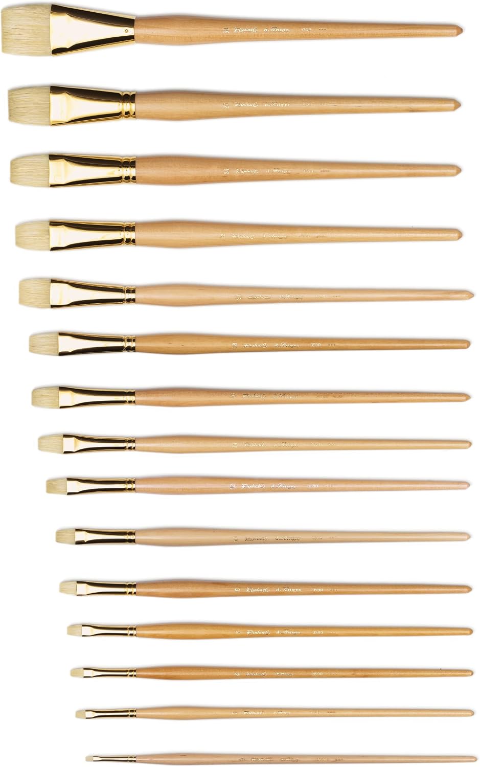 Raphael D'Artigny Interlocked White Bristle Brush, Bright, 12