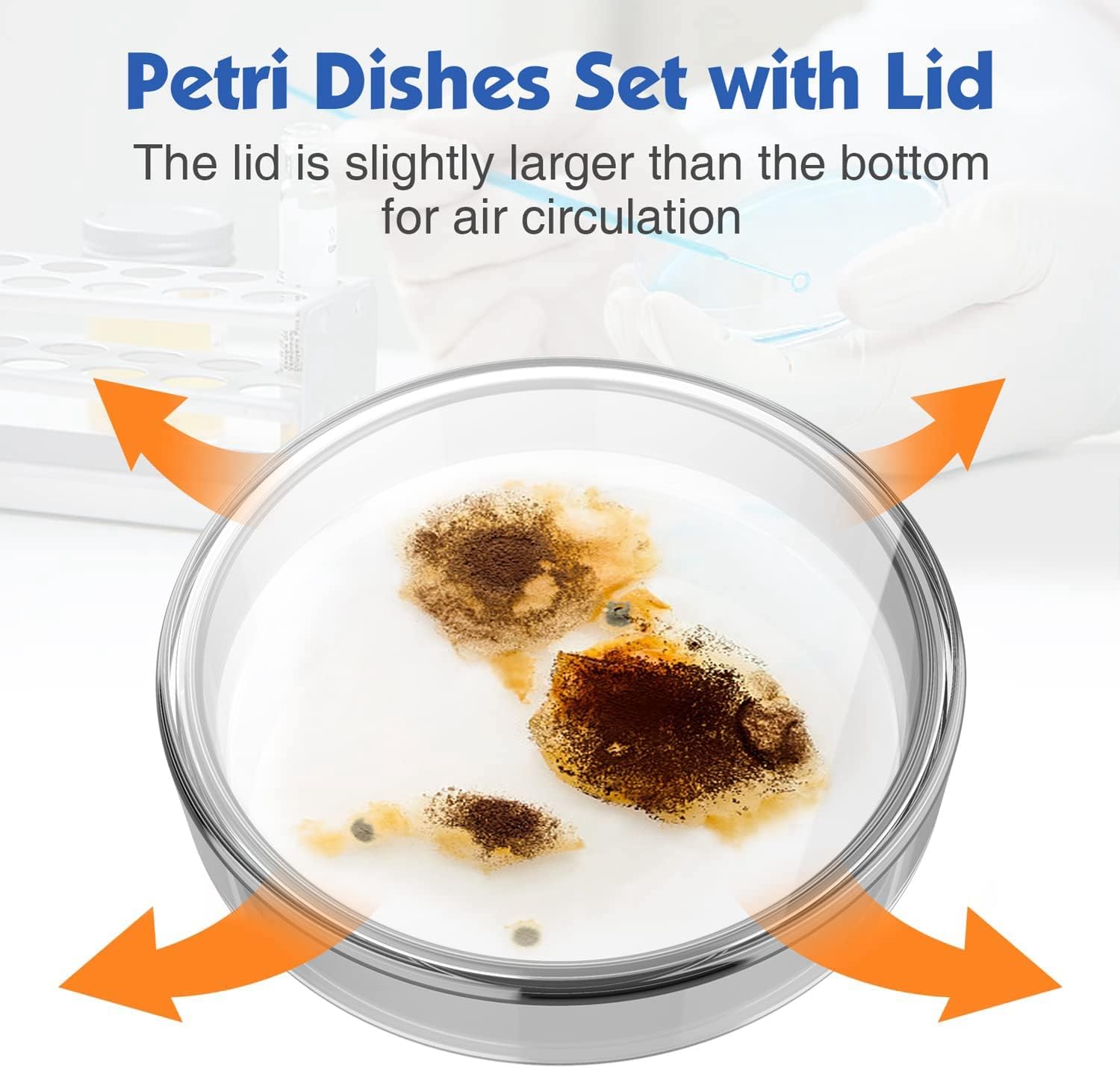 Kopinma 60 mm Glass Dishes Autoclavable Dishes Reusable Dishes 10 Pcs Autoclavable Lab Plates with A Inoculation Loop : Industrial & Scientific