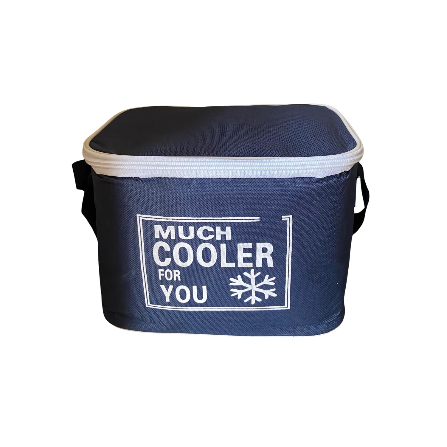 Mini Nevera Portatil, Bolsa Nevera Portatil, Bolsa termica Porta Alimentos, Nevera Portatil Pequeña, Bolsa termica Almuerzo, Playa, Piscina, Picnic, Oficina, Senderismo,Porta Fiambrera, (Azul Marino)