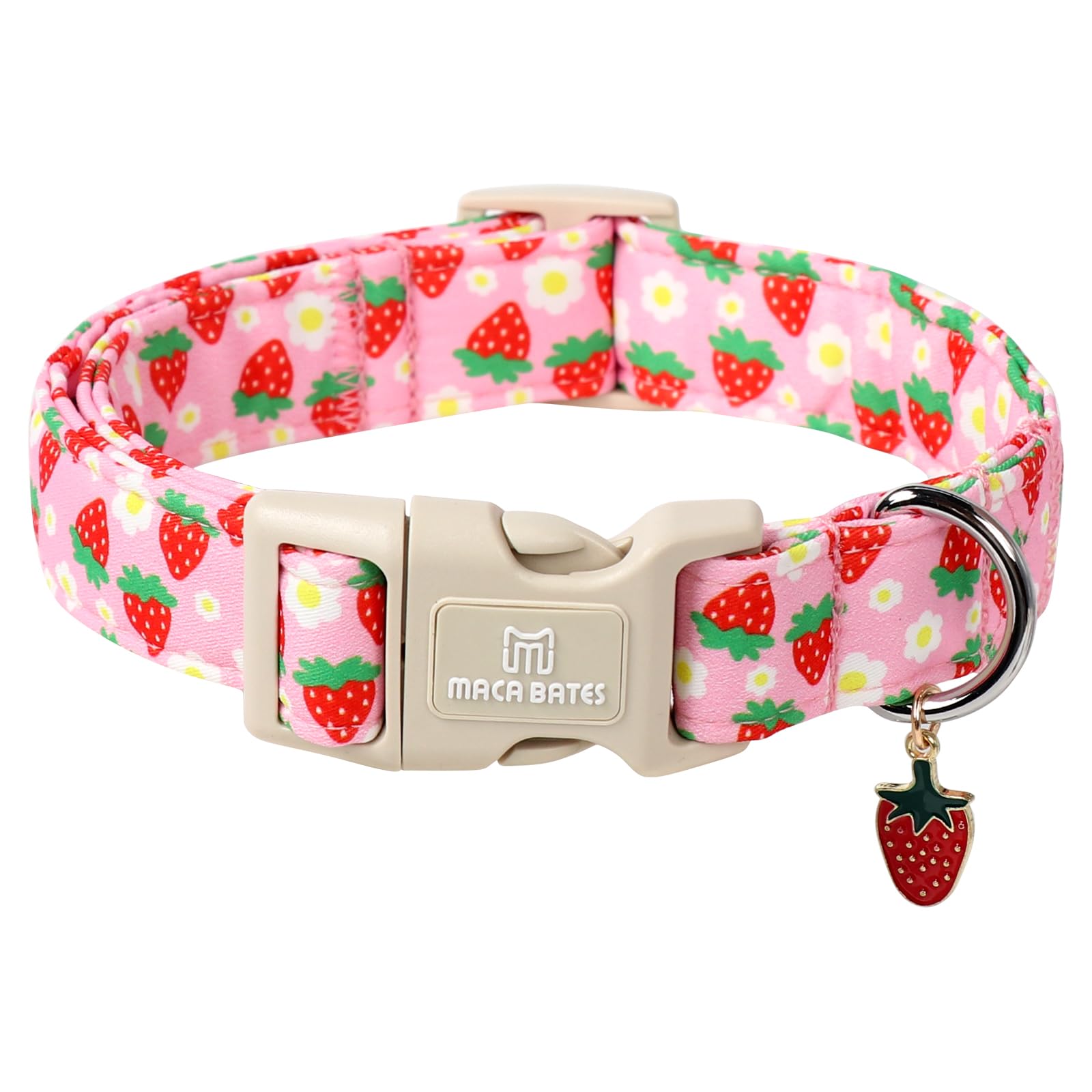 The Maca Bates Pink Strawberry Dog Collar offers a charming and functional accessory for small dogs.