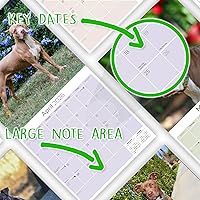 Vista 138 de Razas de Perros 2017