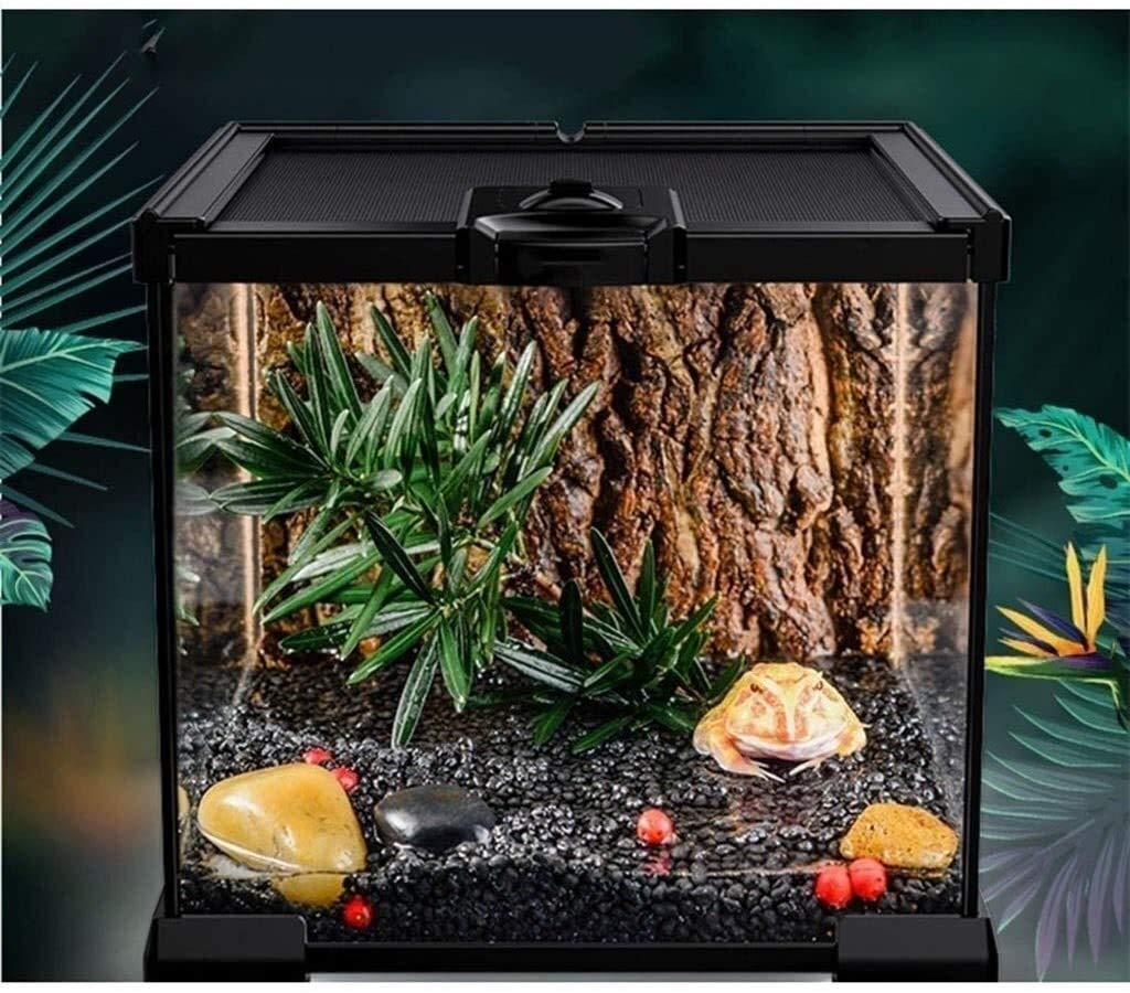 Przenośny mały zbiornik na płazy, terrarium dla gadów biurowych, szklane pudełko, zbiornik na zegarek do karmienia-klatka dla gadów płazów jaszczurka żółw wąż pudełko