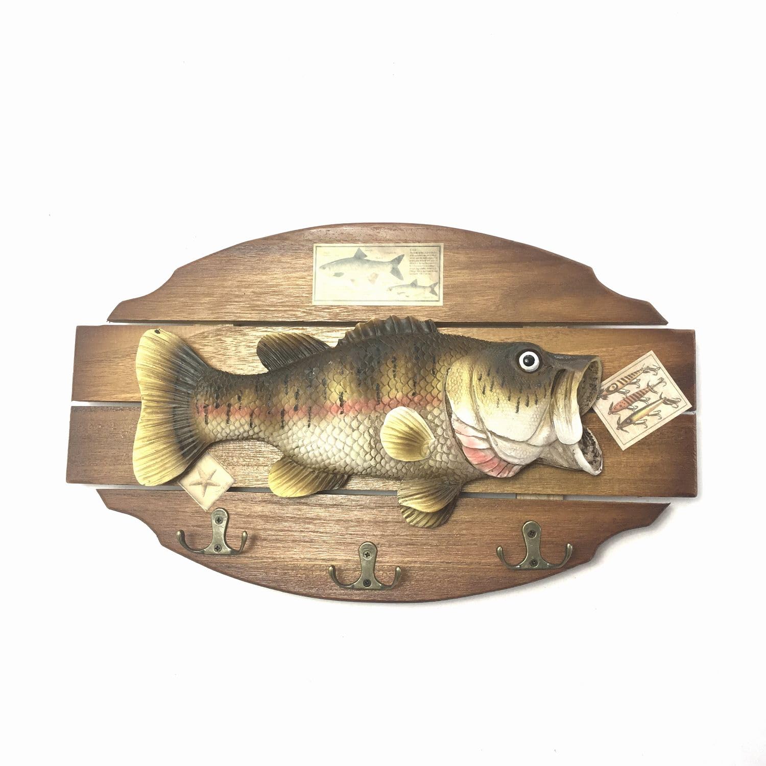 Amazon.co.jp: ブラックバス 壁掛け (40cm×24cm) レプリカ 模型 