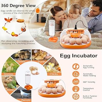 12 Egg Incubator with Automatic Egg Turning and Temperature Control, Automatic Water Adding, LED Egg Candler, Incubators for Hatching Eggs, Chickens, Ducks, Quail, Goose Eggs