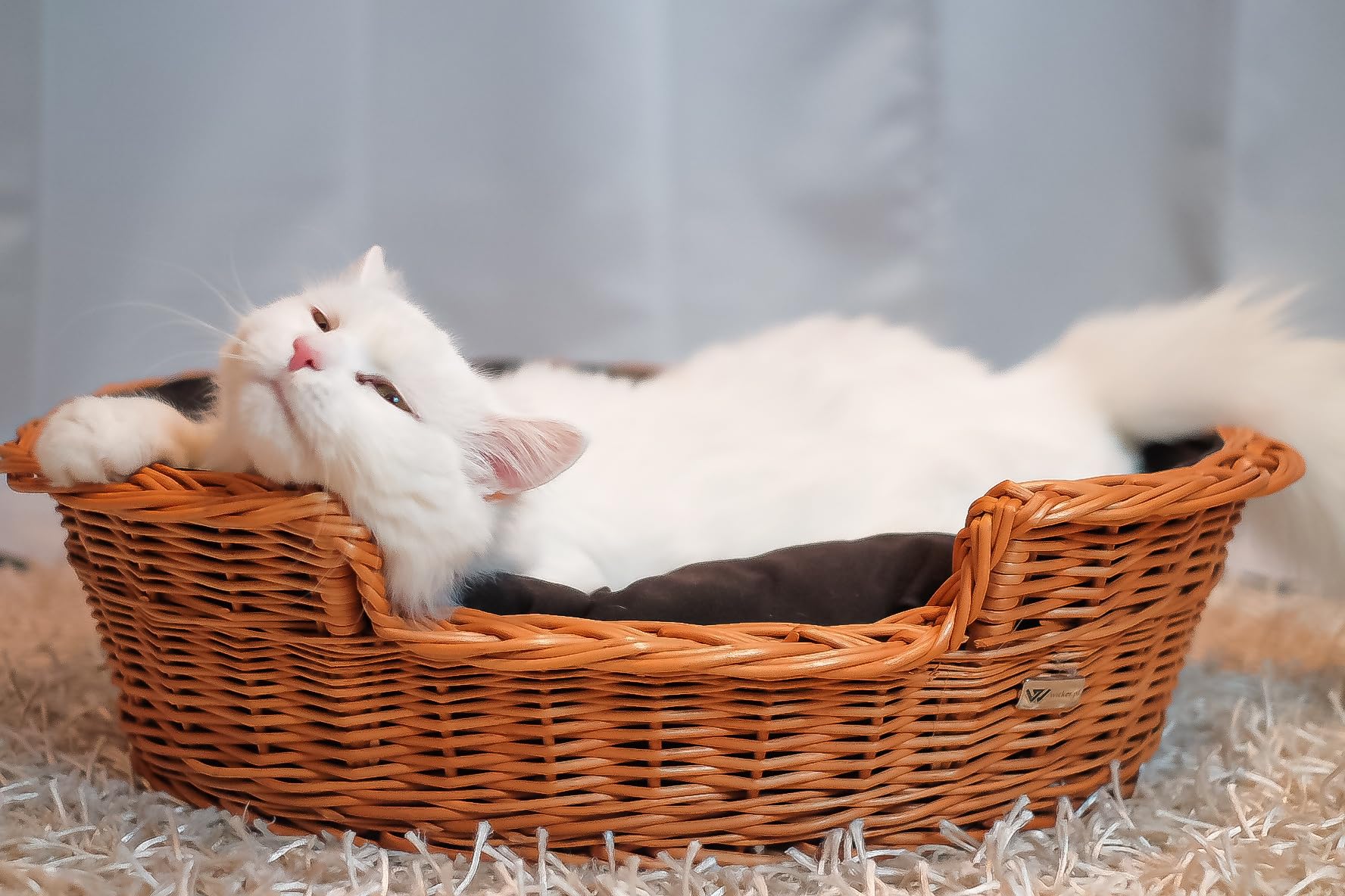e-wicker24 Kosz dla psa/kota z wikliny z miękką poduszką, legowisko wiklinowe dla zwierząt