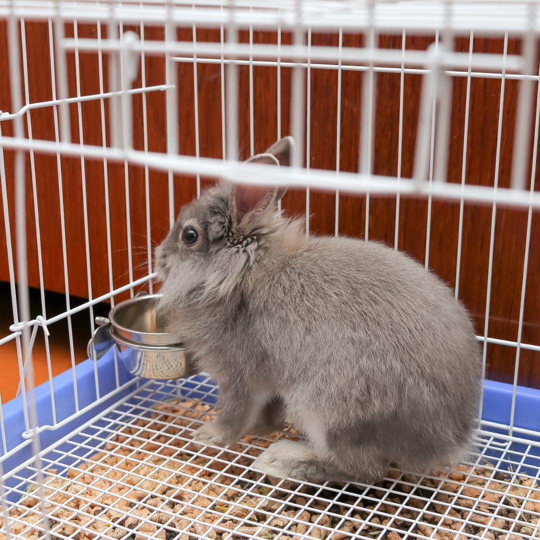 SPOT Coop Cup Bolt Clamp - Stainless Steel Hanging Bowl for Crates, Removable, Chew-Proof Pet Feeding Dish, Ideal for Birds, Parrots, Rabbits, Ferrets, Reptiles, 1.25 Cups (10 Oz) - image 8