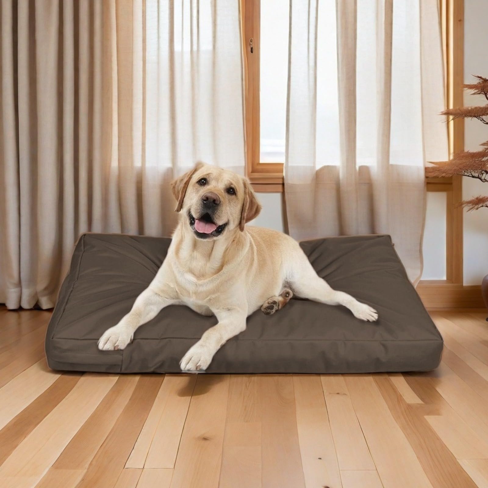 Generico Fodera di Ricambio per Lettino per Cani Fodera di Ricambio Rimovibile con Cerniera Copertura Protettiva per Letto per Interni coprimaterasso per Cani Lavabile e sfoderabile
