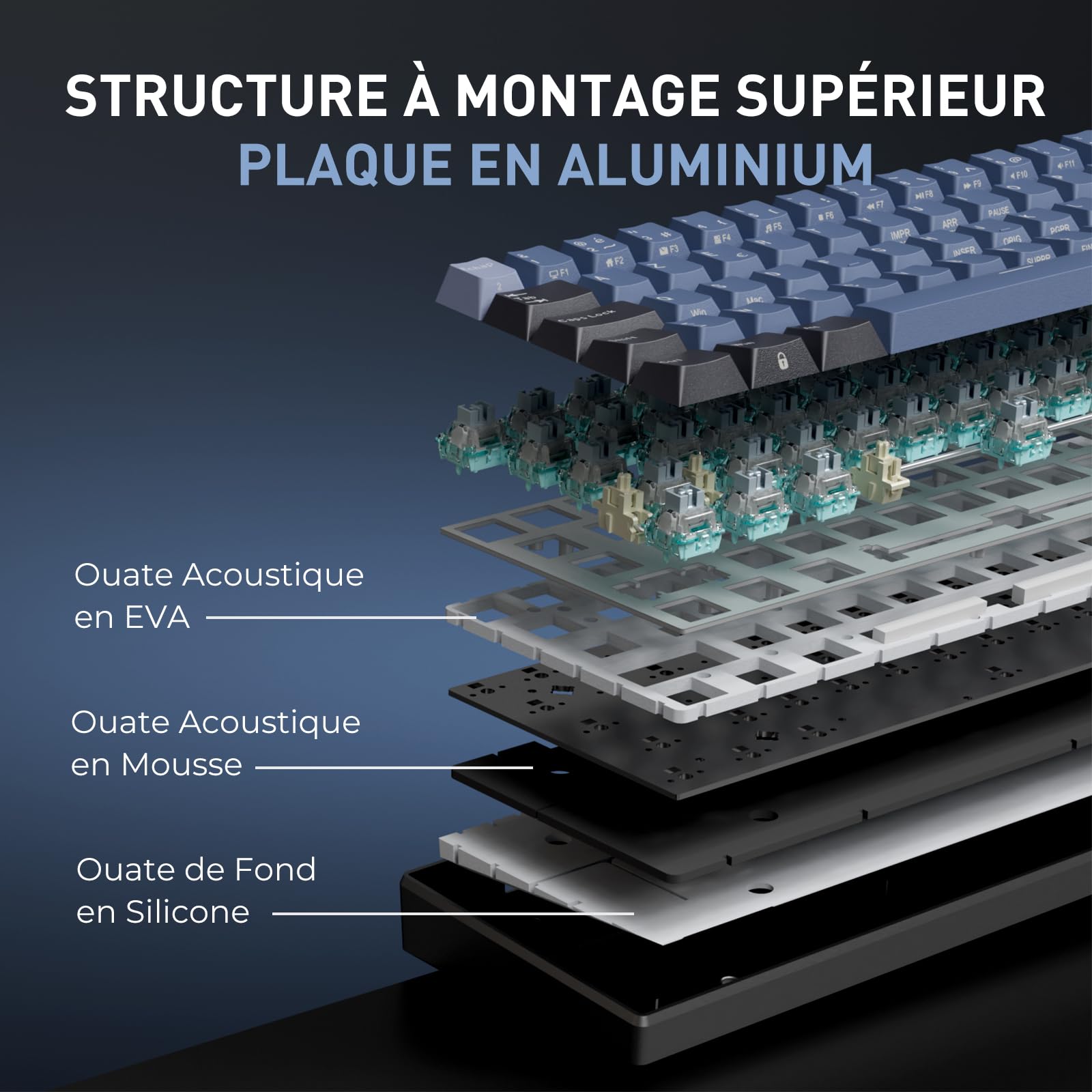 RK ROYAL KLUDGE C61 Clavier mecanique Filaire 60% avec Interrupteur Magnétique à Effet Hall, Rapid Trigger 0.01mm, Polling Rate 8000 Hz, RGB, Clavier AZERTY pour PC/Mac, Bleu