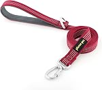 Plutus Pet Heavy Duty Dog Leash with Lockable Aluminum Carabiner, 4/6 Feet Long, Double-Sided Reflective Nylon, Padded Handle, for Puppy, Small, Medium and Large Dogs (Chocolate, 2.0 x 180cm)