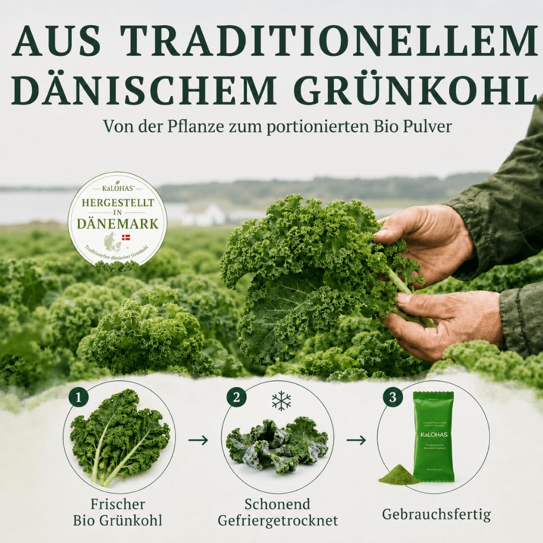 Pure Bio Grünkohl Pulver, 25 x 2g Sachets auf Grünes Superfood | Ohne Zusatzstoffe, Gefriergetrocknet, Hoher Gehalt an Protein, Kalzium, Vitamin C & K, Antioxidantienreich, 9 Aminosäuren