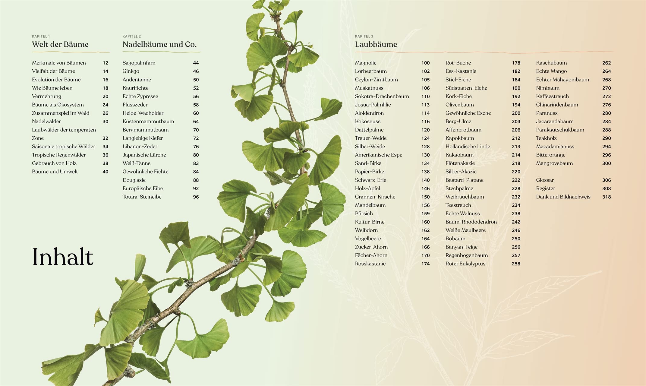 Bäume - Eine Natur- und Kulturgeschichte (DK Faszinierende Welt)