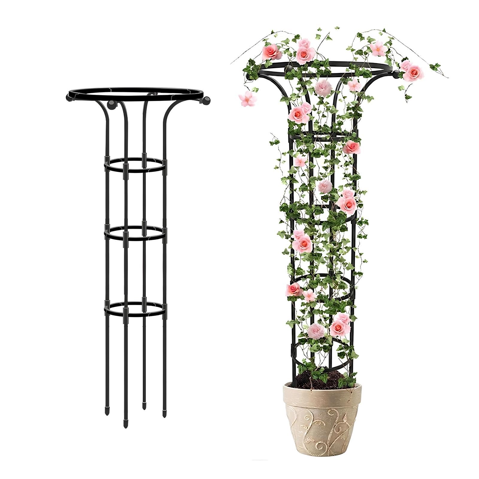 185cm Griglia Da Giardino - Supporti Verticali Stabili Per Piante Rampicanti - Traliccio A Ombrello Con Struttura A Gabbia - Per Vite Rosa Clematide Ortensie(Black,D25cmxH125cm)