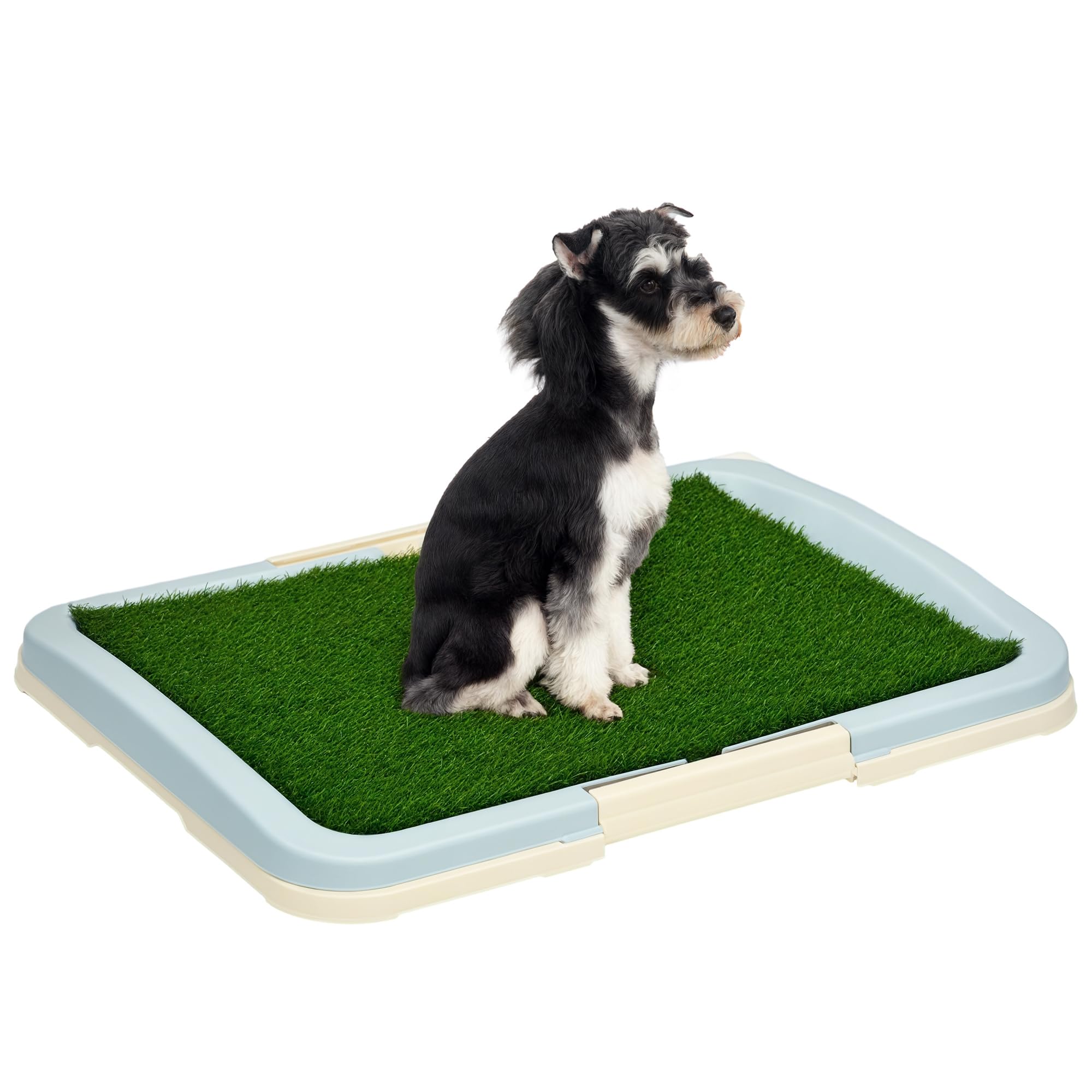 Dog Toilet Training Grass: Simplify Pet Potty Time