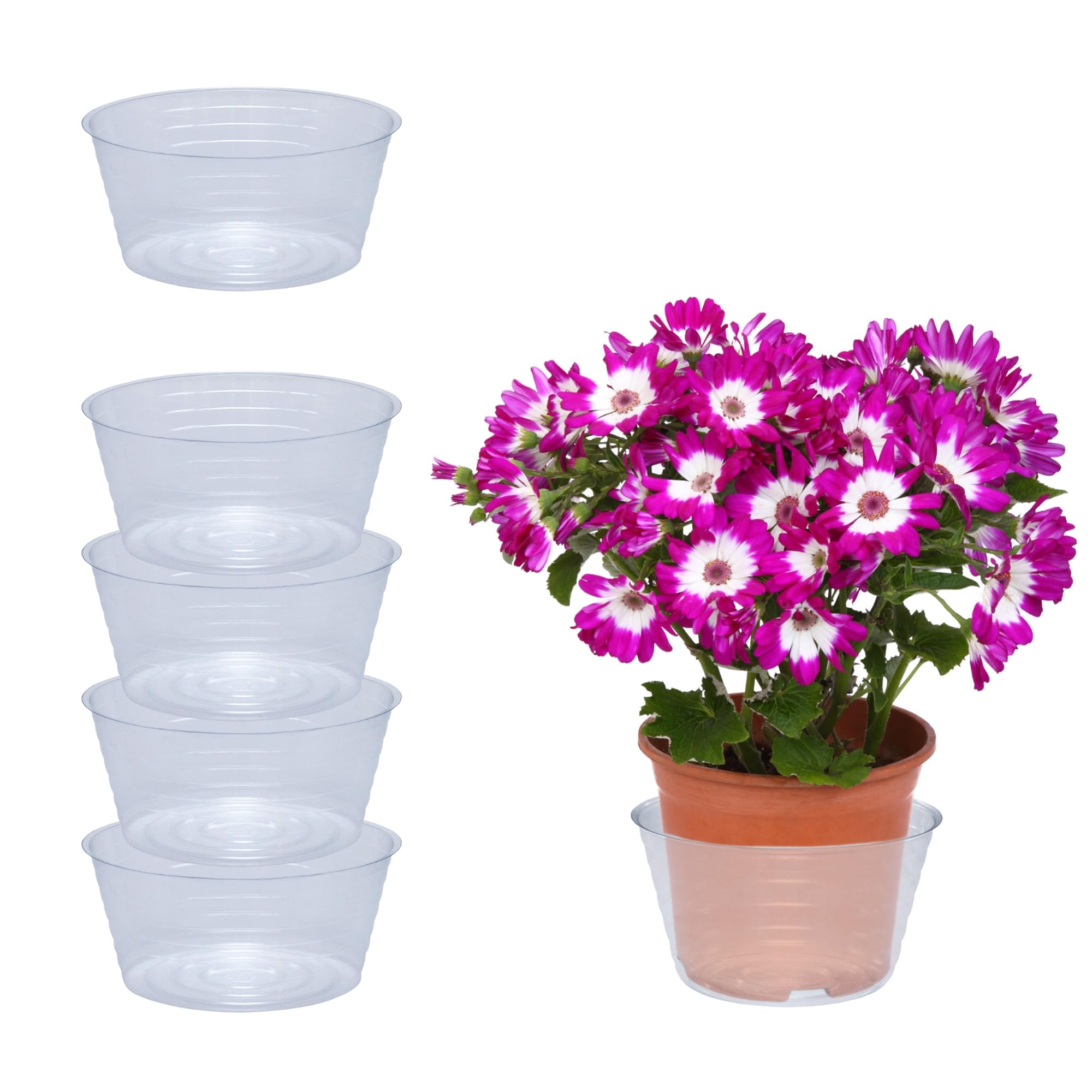 Curtis Wagner Plastics Drip Pan Saucers