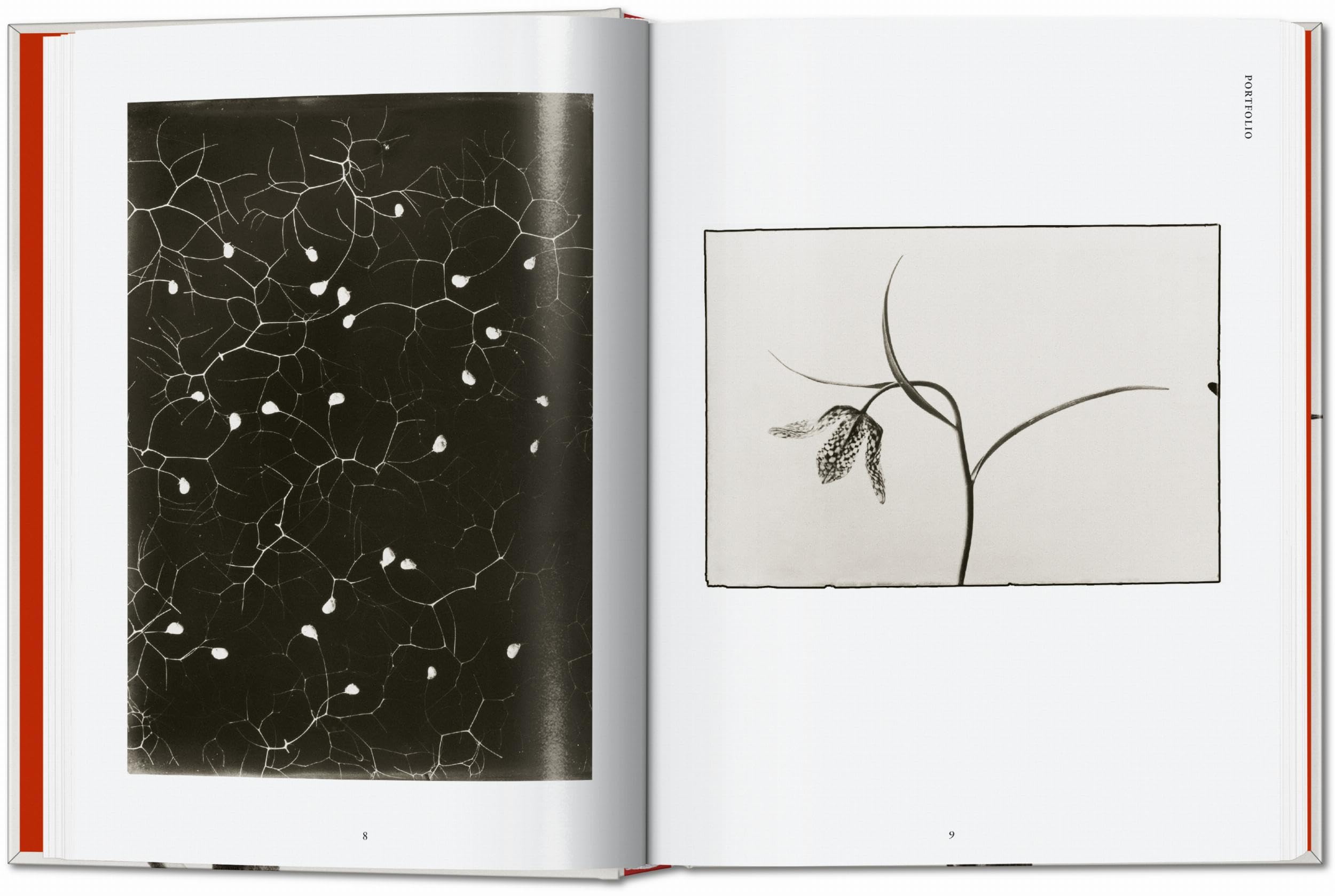 Karl Blossfeldt. The Complete Published Work. 45th Ed. (45th Edition)